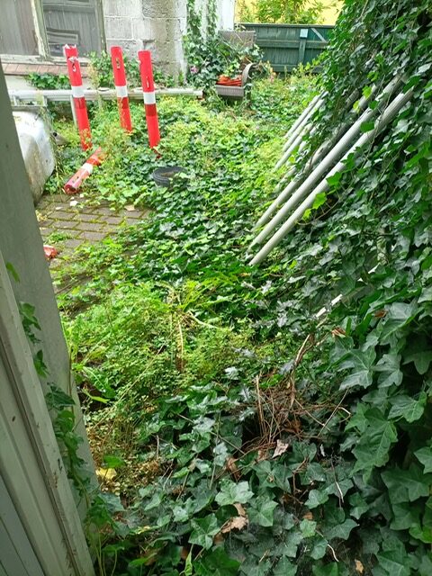 Gården var groet til i efeu