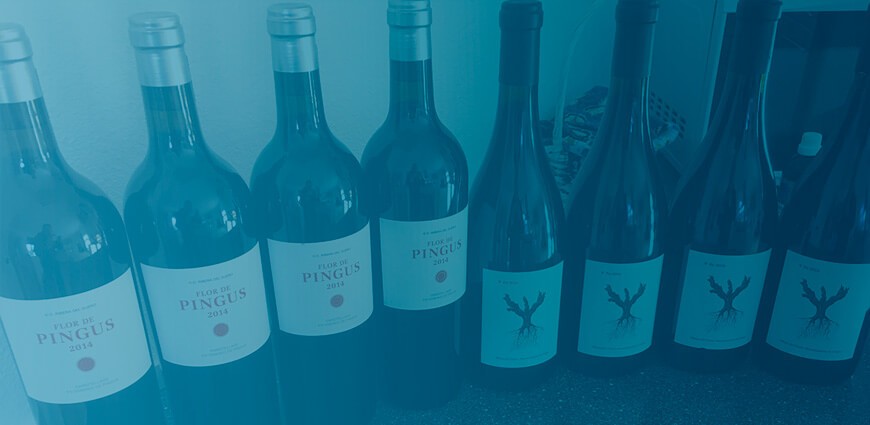 I Investeringsvin - Flor De Pingus - Er det en god vin at investere i?
